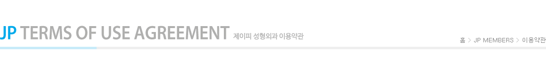 이용약관